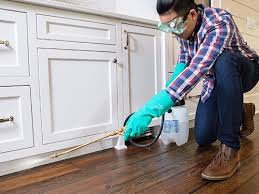 Best Pest Control for Multi-Family Homes  in Lordship, CT